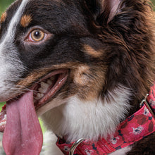 Cargar imagen en el visor de la galería, Collar Bimba