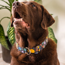 Cargar imagen en el visor de la galería, Collar Vía Láctea