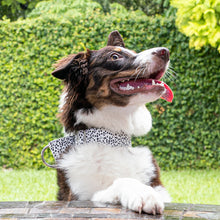 Cargar imagen en el visor de la galería, Collar Coco