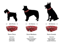 Cargar imagen en el visor de la galería, Collar Bimba