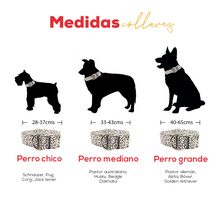 Cargar imagen en el visor de la galería, Collar Coco