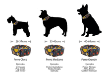 Cargar imagen en el visor de la galería, Collar Vía Láctea