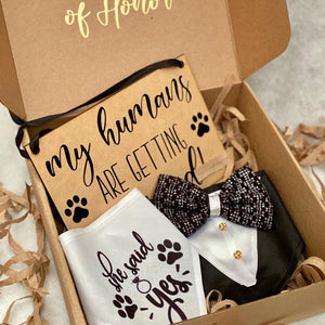 Dog of Honor Box