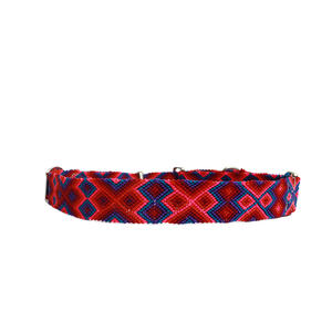 Copia de Collar de entrenamiento Martingale S/M