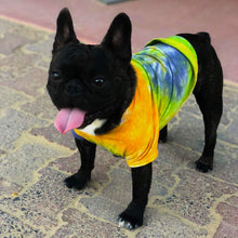 Cargar imagen en el visor de la galería, Camiseta de perro Tie Dye manga corta
