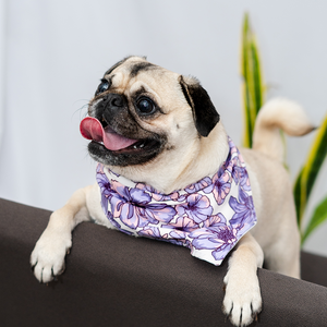 Bandana flores moradas